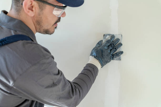 Best Mold Documentation for Insurance Claims  in Hewitt, TX
